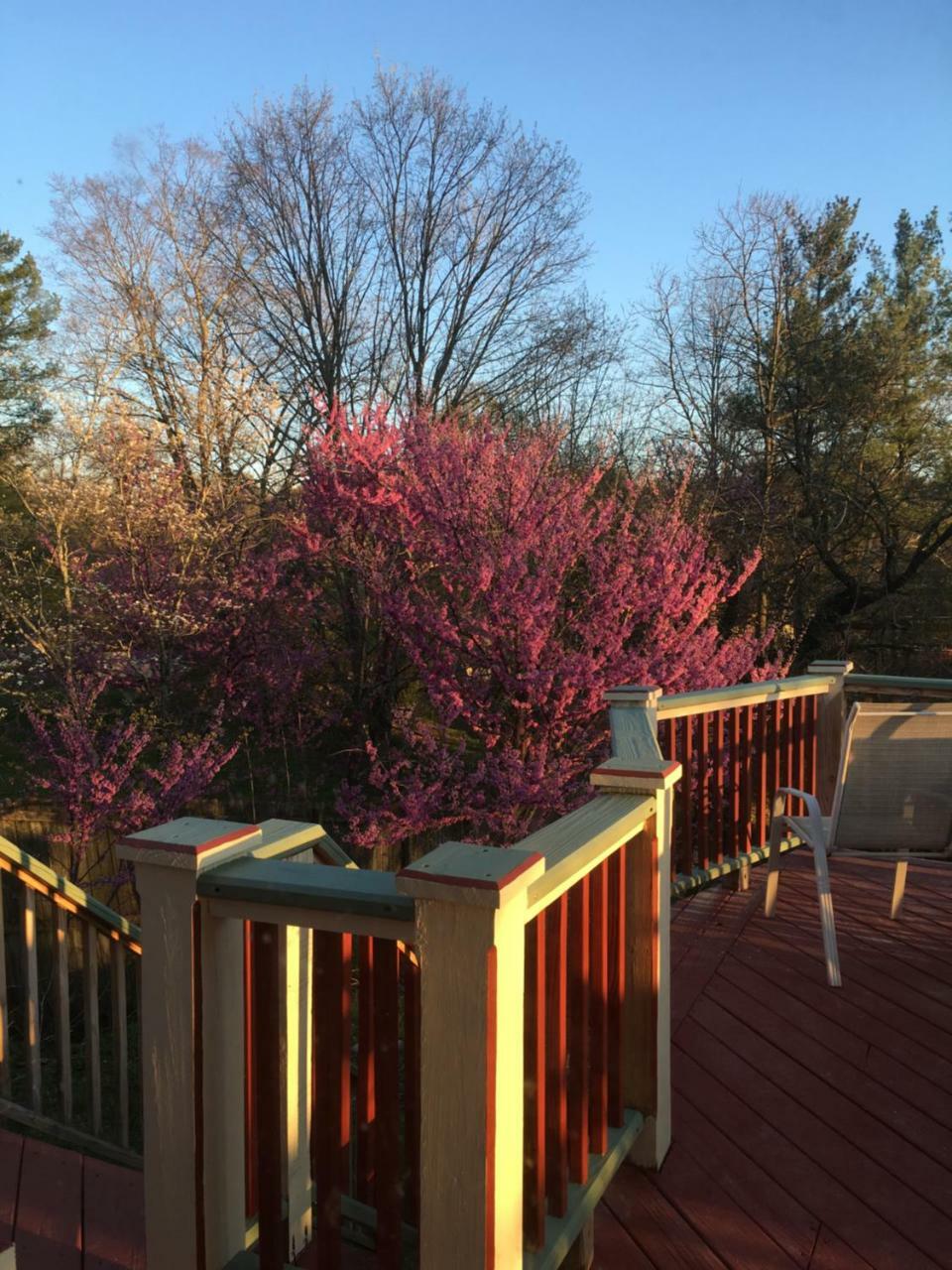 Jonesborough Bed And Breakfast מראה חיצוני תמונה